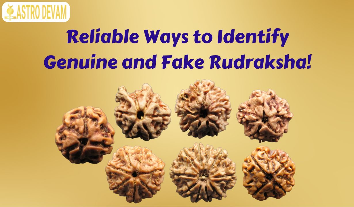 Original Rudraksha Uses & Benefits
